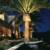 Speciman Date Palms with accent low voltage up lighting at a private residence.

 